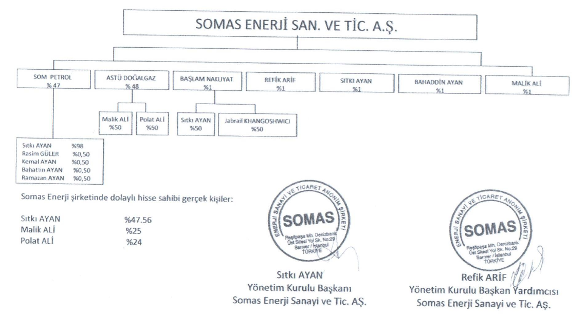 Structure of Somas Enerji, (Creative Commons/ EIC)