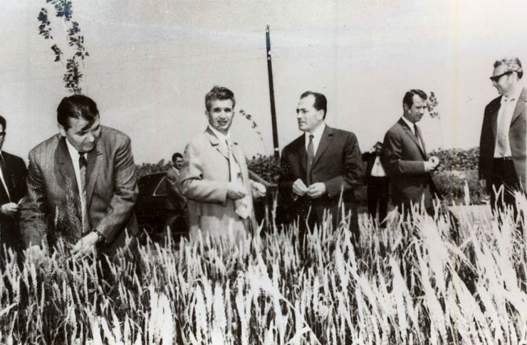 GM Dictator: Ceausescu had grand plans for biotech (Credit: Fototeca Online a Comunismului Romanesc)